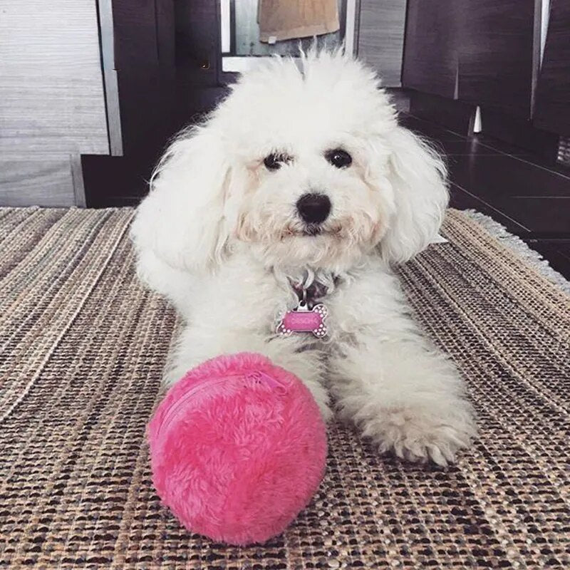Automatisch Rollender Ball für Hunde