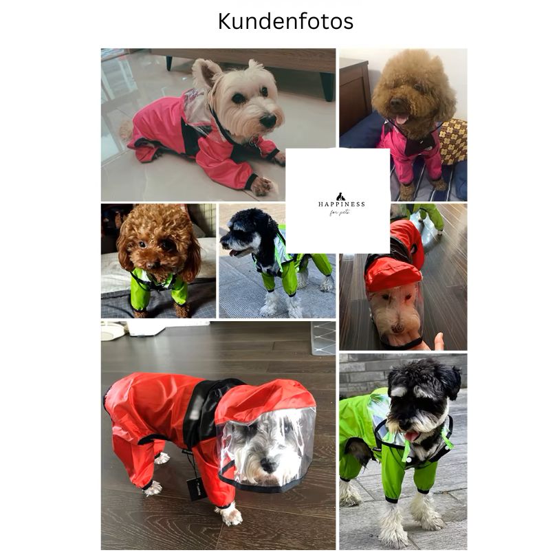 Modische Regenjacke für Hunde