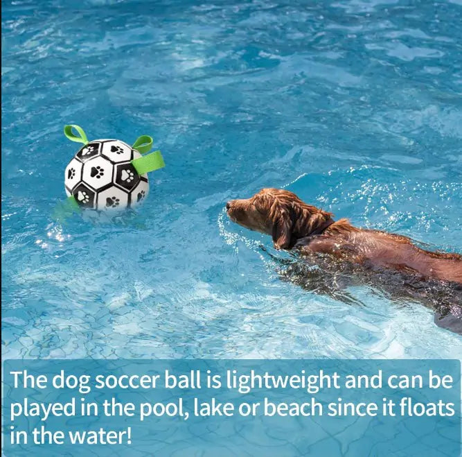 Hunde-Fußball mit Griff