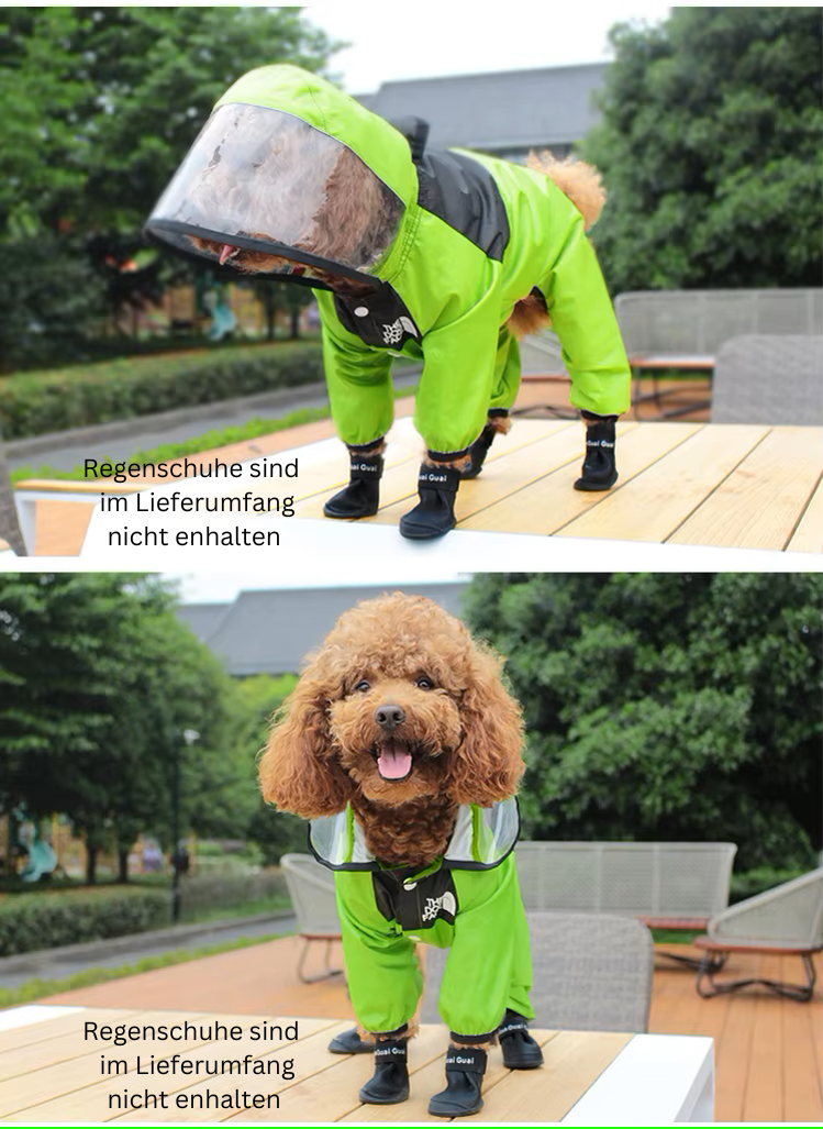 Modische Regenjacke für Hunde