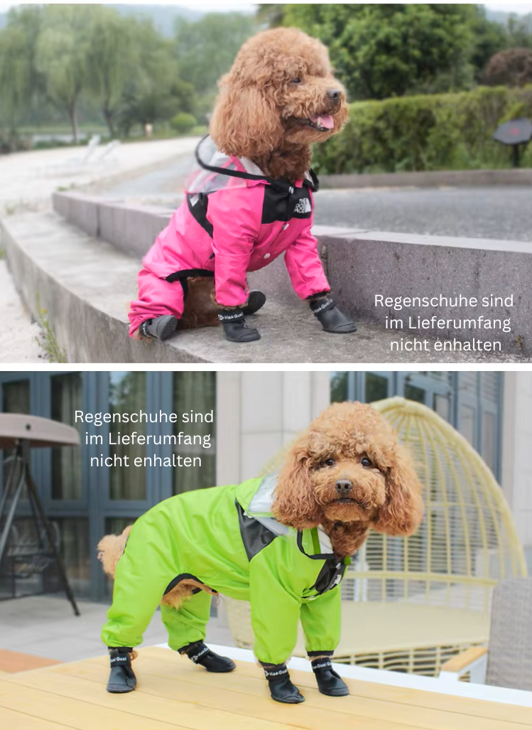 Modische Regenjacke für Hunde