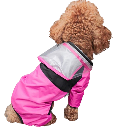 Modische Regenjacke für Hunde