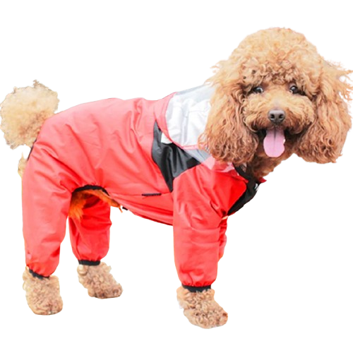 Modische Regenjacke für Hunde