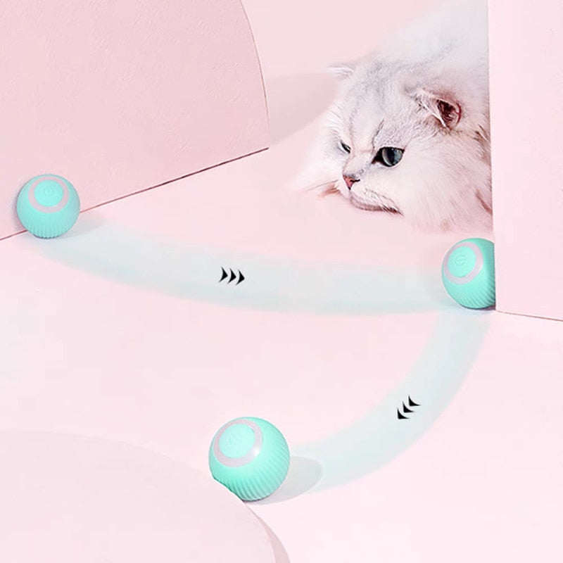 Selbstrollender Katzen-Spielball