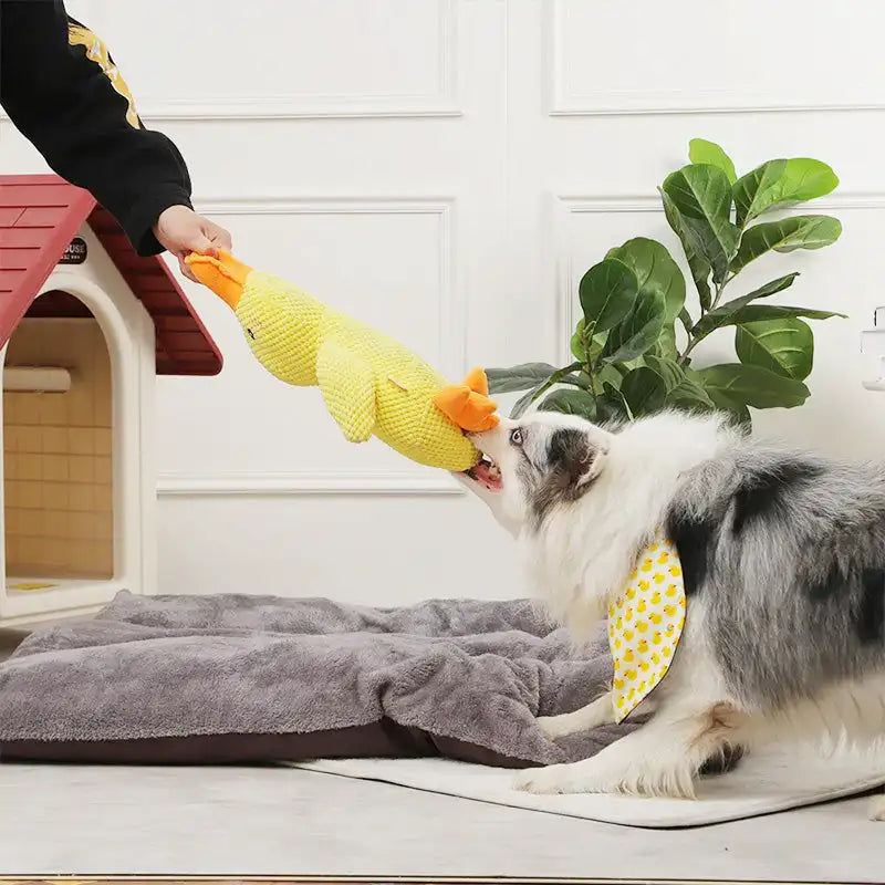 Quakende Plüschente - Langlebiges Kauspielzeug mit Geräuschen für Hunde