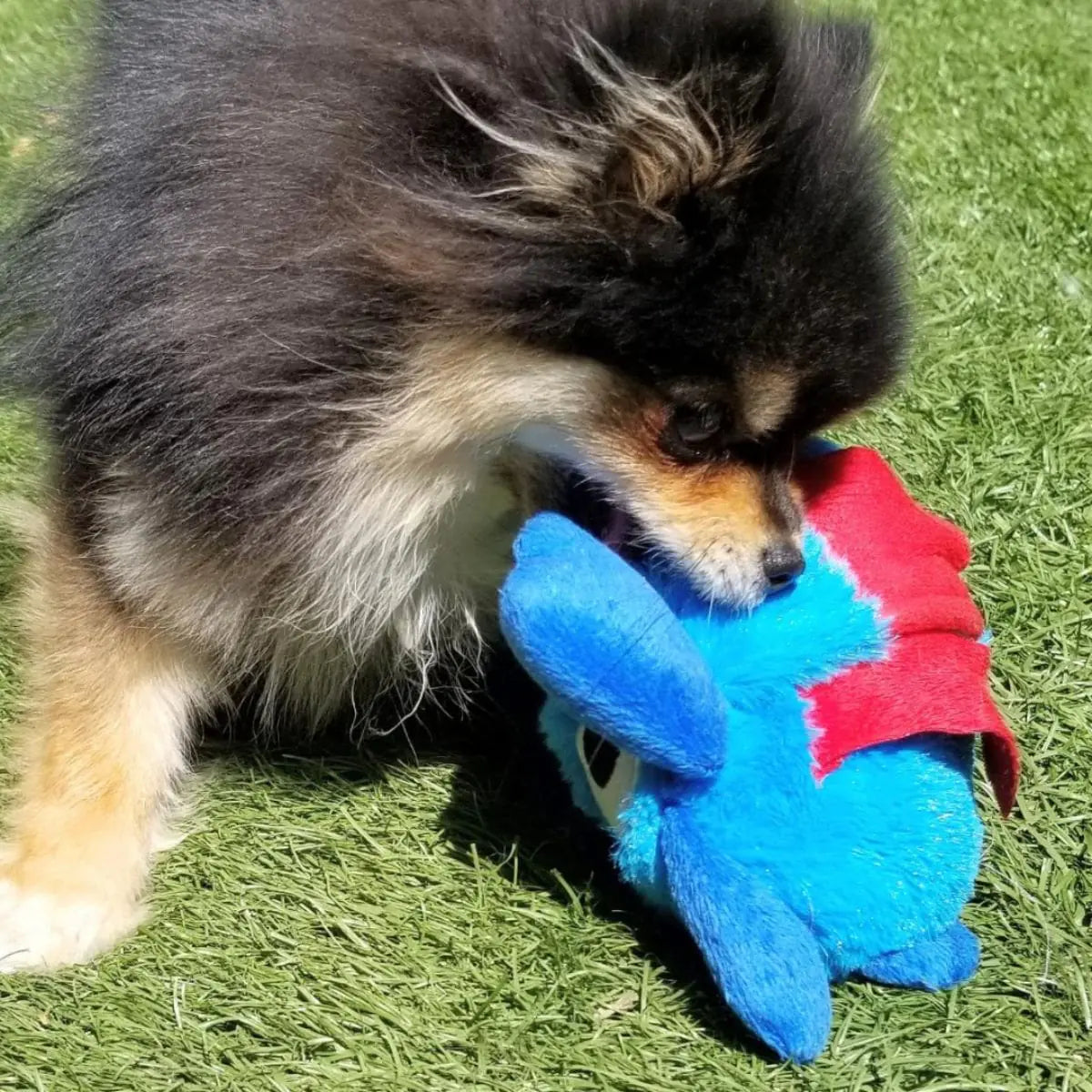 Puffy - der Springende Monsterball - Spielzeug für Hunde