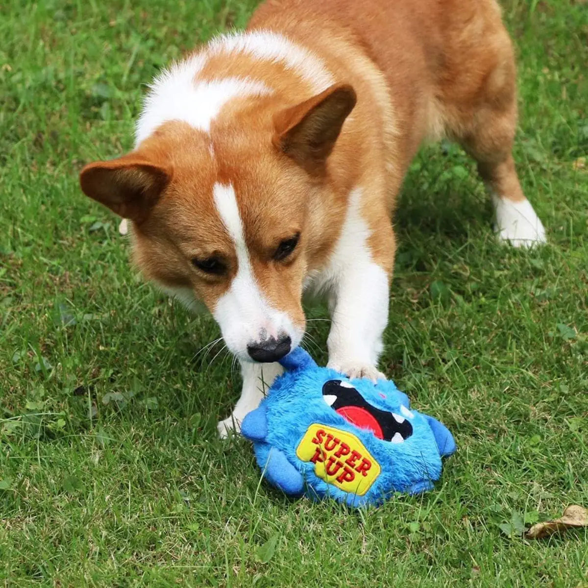 Puffy - der Springende Monsterball - Spielzeug für Hunde