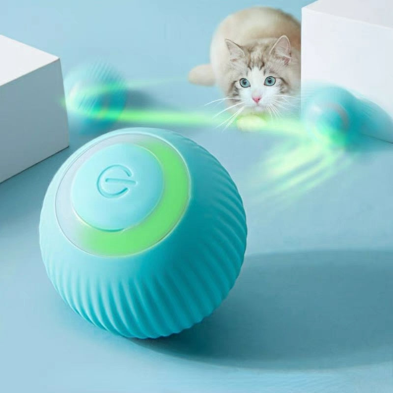 Selbstrollender Katzen-Spielball