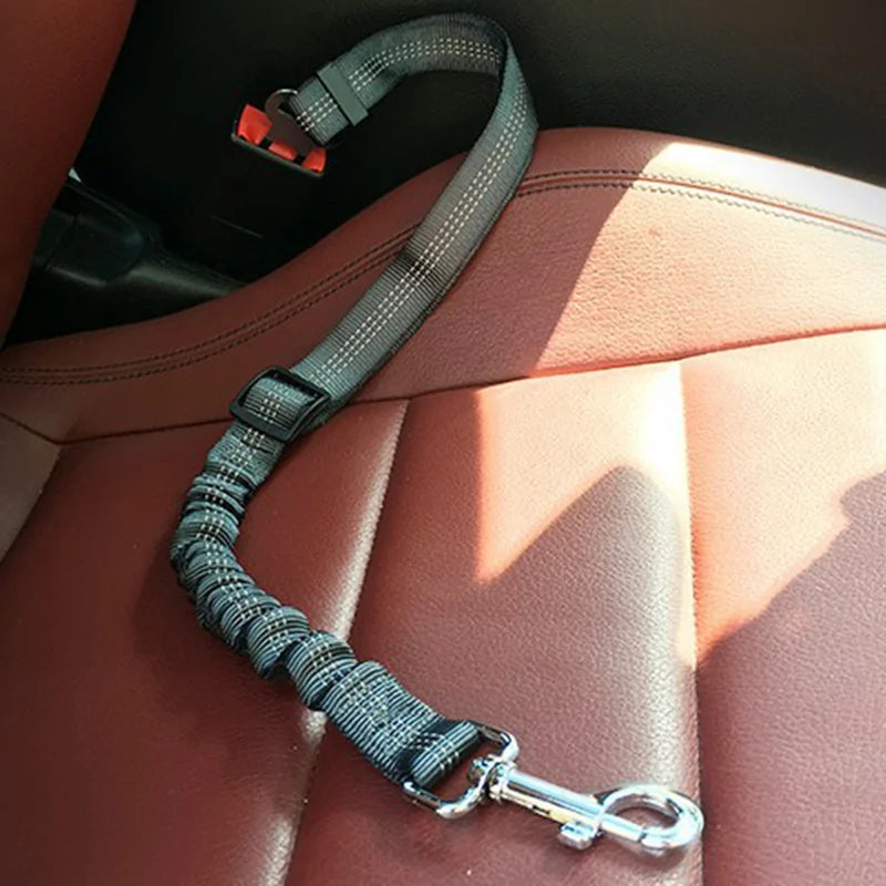 Auto-Sicherheitsgurt für Hunde