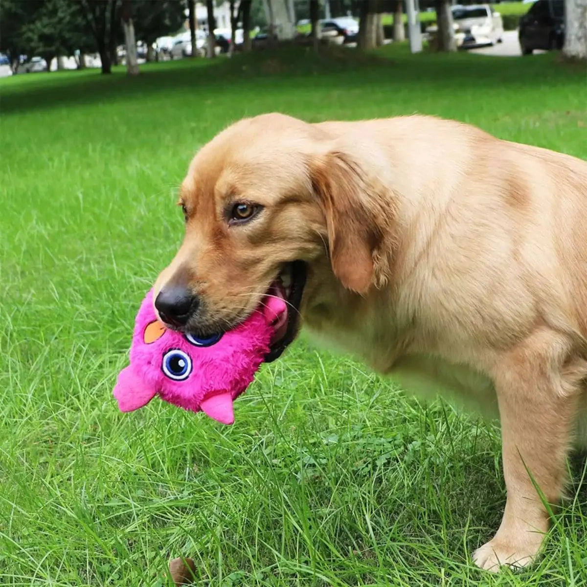 Puffy - der Springende Monsterball - Spielzeug für Hunde