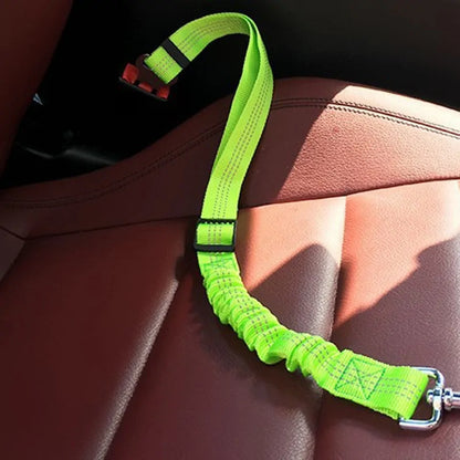 Auto-Sicherheitsgurt für Hunde