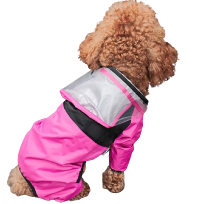 Modische Regenjacke für Hunde