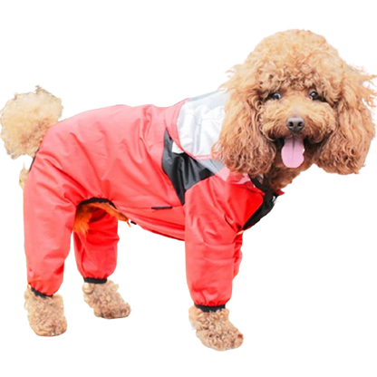 Modische Regenjacke für Hunde