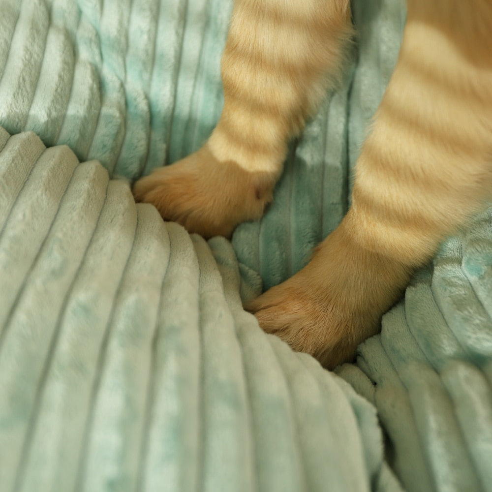 PurrClean™ - Waschbares Haustierbett mit Cordbezug