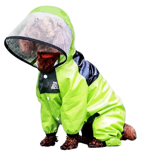 Modische Regenjacke für Hunde