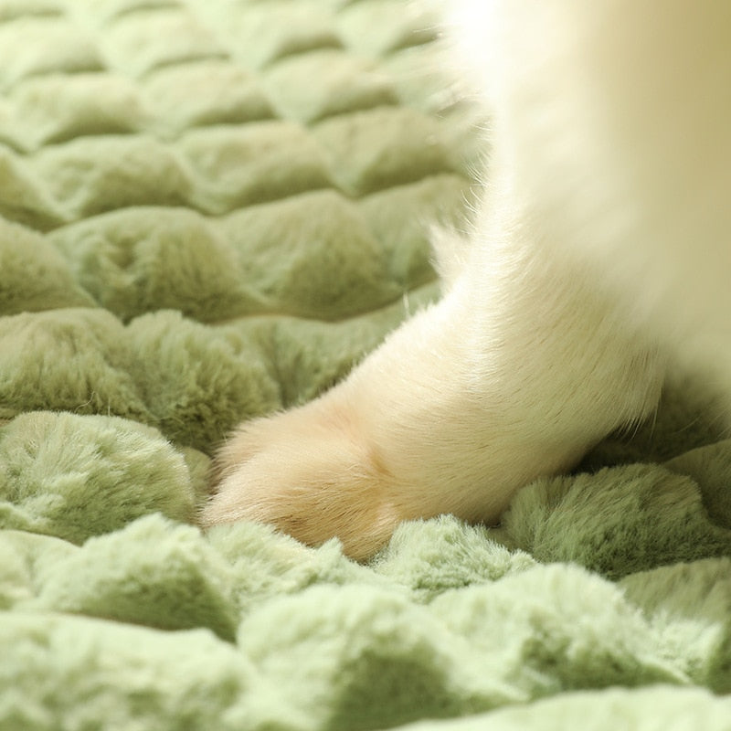 Komfortables Hunde- & Katzenbett - PetPad™
