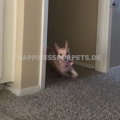 Tanzende Krabbe - Interaktives Hundespielzeug
